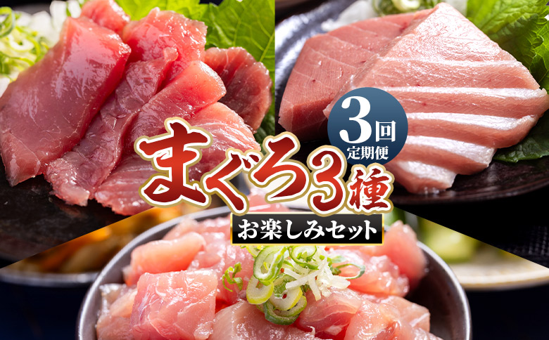 【3回定期便】〈月替わり〉まぐろ 3種 お楽しみセット - 国産 刺身スライス 柵 切り落とし 海鮮丼 漬け丼 煮物 鮪 マグロ カット済み 角切り 小分けパック 新鮮 魚介 産地直送 龍馬の海鮮隊 野島水産 高知県 香南市 Wnz-0116