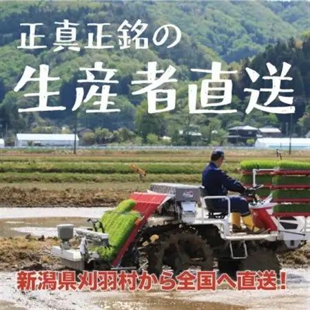 【新潟特別栽培米】【精米】刈羽村産コシヒカリ 5kg【1576269】