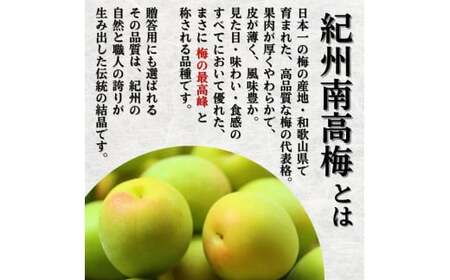 黄梅 家庭用 南高梅 5kg+250g（傷み補償分） / 梅 梅ジュース 梅酒 梅干し 訳あり 和歌山 ※2025年6月下旬～2025年7月下旬に順次発送 ※北海道・沖縄・離島への配送不可 【ikd5