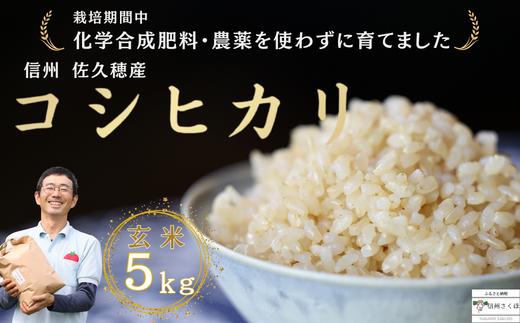 
炊きあがりのつやと香りが良く、うま味も強い　コシヒカリ　玄米５kg　佐久穂とさや農園〔ST-B5-1〕
