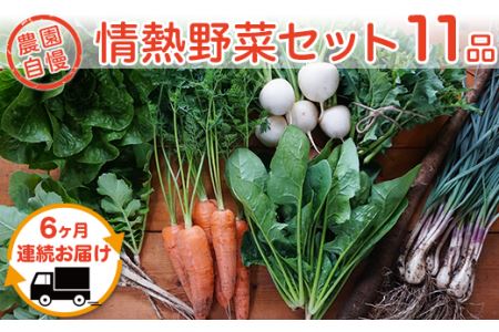 【6ヶ月連続お届け】農園自慢の情熱野菜セット（11品）【野菜 野菜セット おすすめ 詰め合わせ 定期 定期便 野菜詰め合わせ】