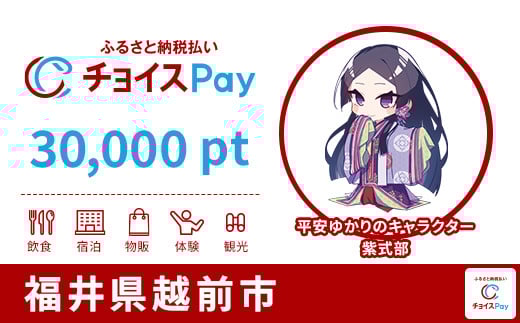 
            越前市チョイスPay 30,000pt【会員限定のお礼の品】
          