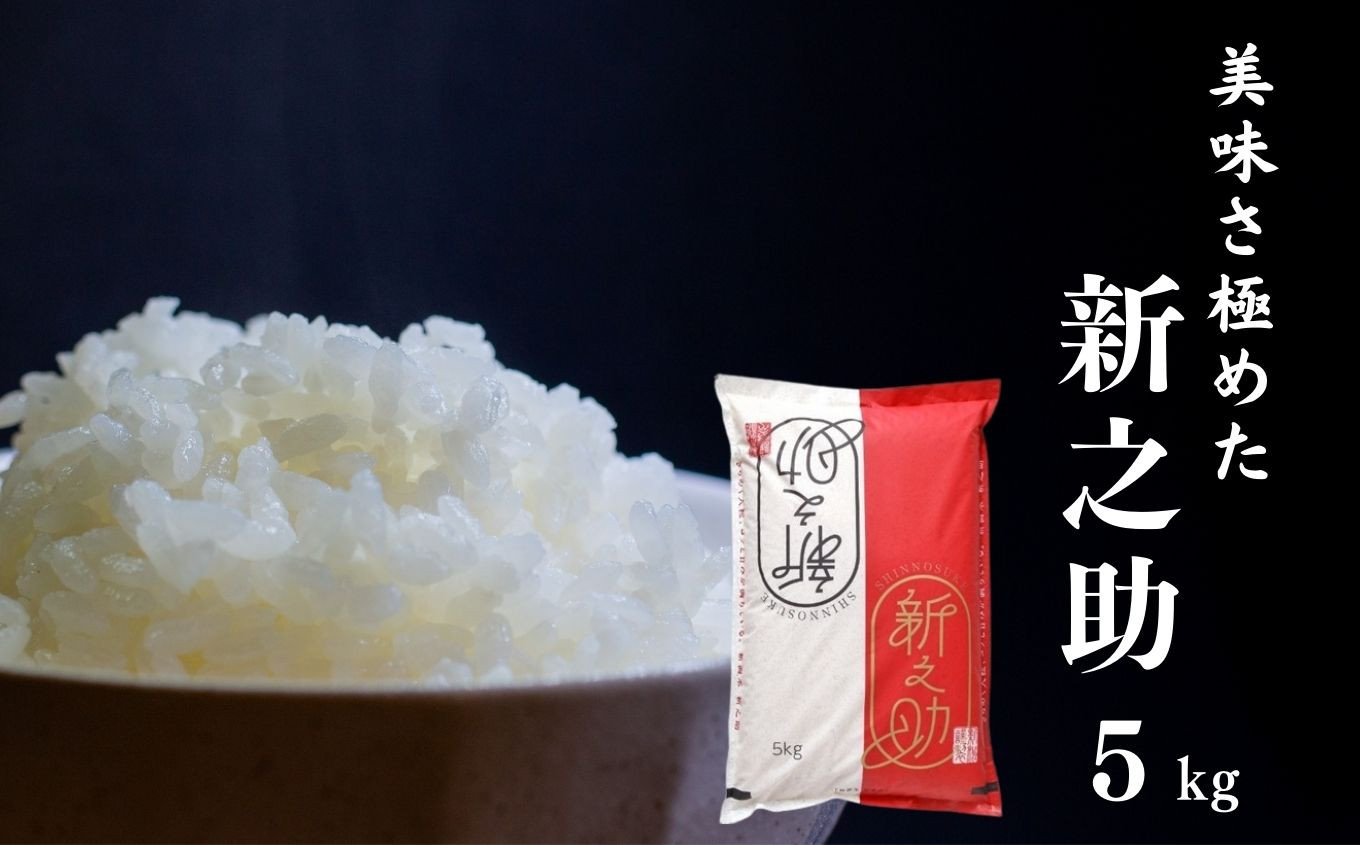 
                  令和8年産新米 美味さ極めた「新之助」5kg 米・食味鑑定士お墨付き 新潟県糸魚川産 2026年産 しんのすけ 白米 ギフト コシヒカリに代わる新潟県の新しいブランド米 農家直送 東山ファーム【新潟県 糸魚川市 米 お米 ご飯 ライス おにぎり お弁当 におすすめ 精米 コメ こめ ご飯 ライス ギフト ふるさと納税米 5キロ】
                