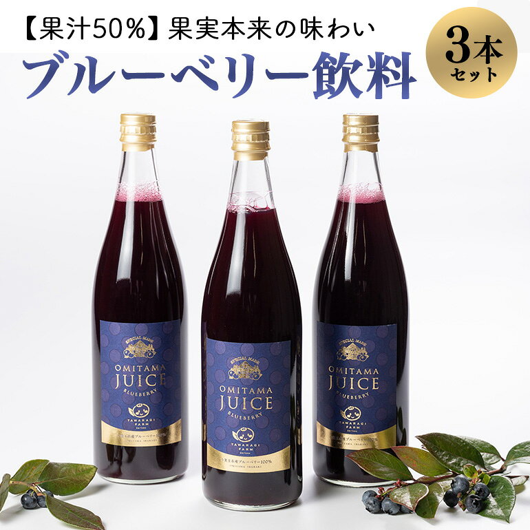 【ふるさと納税】果汁50％ブルーベリー飲料3本セット ブルーベリー ブルーベリー飲料 フルーツ 果物 フルーツジュース ジュース ビタミンE アントシアニン 栄養 ギフト 贈り物 茨城県産 人気 プレゼント セット ドリンク 9−A