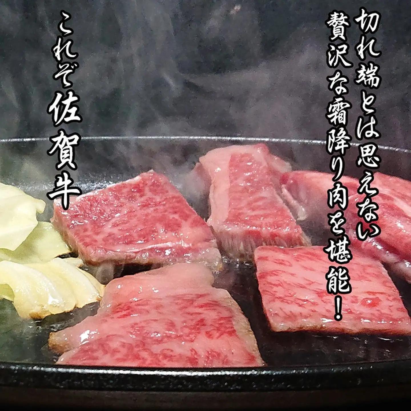 佐賀牛 はしっこちゃん 500 佐賀牛 ロース カルビ 焼肉：B160-029