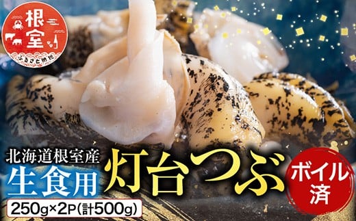 
            G-11040 【北海道根室産】生食用灯台つぶ(ボイル済)250g×2P(計500g)
          