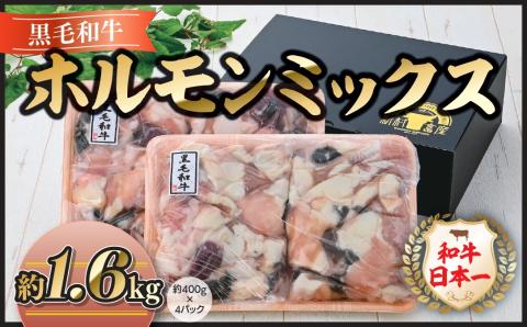 鹿児島県産黒毛和牛ホルモンミックス約1.6ｋｇ