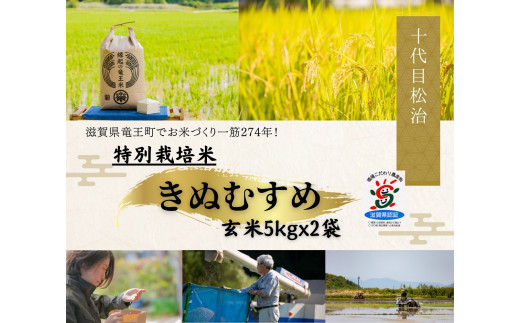  【 新米予約 】 きぬむすめ 玄米 5kg x 2袋 縁起の竜王米 ( 令和6年産 先行予約 新米 玄米 10kg おこめ ごはん 米 特別栽培米 ブランド米 ライス こだわり米 ギフト 国産 縁起の竜王米 滋賀県竜王町 )