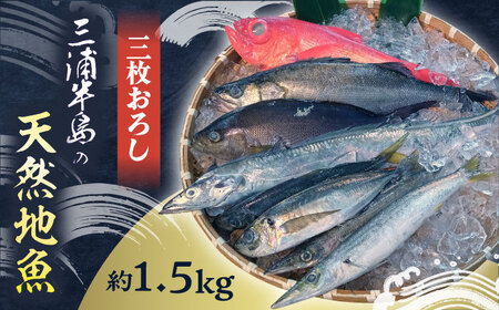 お刺身用 三浦半島の天然地魚 三枚おろし 約1.5kg 刺身 魚 処理済み 下処理済み 三枚おろし　【長井水産株式会社】[AKAJ028]