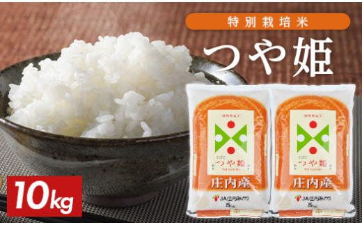 特別栽培米 つや姫 5kg×2袋 計10kg 令和7年産米 山形県庄内産 東北 山形県 酒田市 庄内地方 庄内平野 お米 精米 白米 ブランド米 庄内米 ごはん ご飯 農協 産地直送 JA庄内みどり SD0233