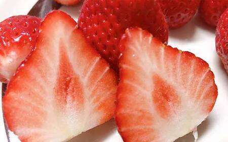 ＜アグリハウス秋山＞ とちおとめ デラックス3L～4L 大玉 24～30粒  F7X-0214