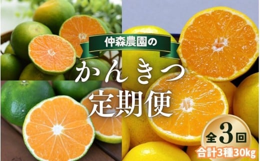 【全3回】仲森農園の柑橘定期便 合計3種 30kg 【超極早生温州「みえ紀南一号」・極早生温州・由良早生】 みかん ミカン 蜜柑 温州みかん 温州ミカン 柑橘 みかん定期便 フルーツ定期便 果物定期便 柑橘定期便 フルーツ 果物 くだもの 甘い 旬 人気 産地直送 三重県 熊野市【nkmr-tkb0010】