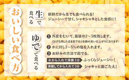 【先行予約】氷締めとうもろこし バイカラー 20本～24本 寺田さんちのとうもろこし コーン