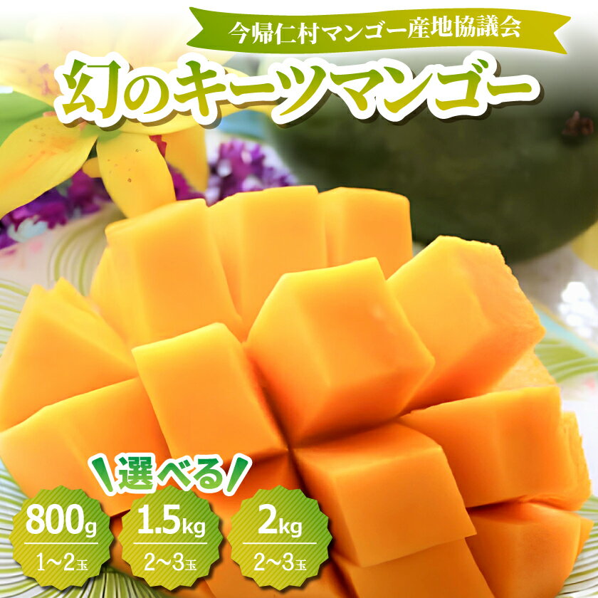 緑のキーツマンゴー1.5kg【2023年8～10月頃発送】生産者直送
