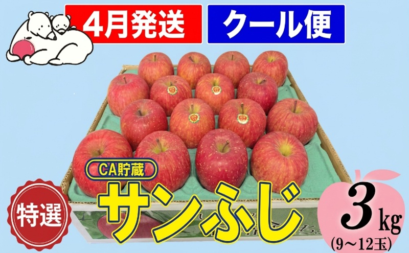 【クール便】4月発送 白熊 特選 サンふじ 絆 約3kg 糖度13度【青森りんご・ 果物 フルーツ 食後 デザート シャキシャキ ジューシー りんごの王様 】