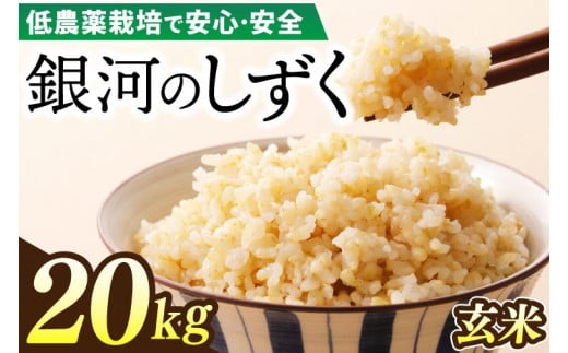 【新米】令和6年産 銀河のしずく 20kg (玄米) 低農薬栽培米 生産者直送 生産地域限定ブランド米 (EI009)