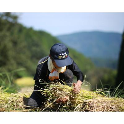 ふるさと納税 九重町 さとうファームの特選有機栽培米　玄米　ミルキークィーン　5kg |  | 01