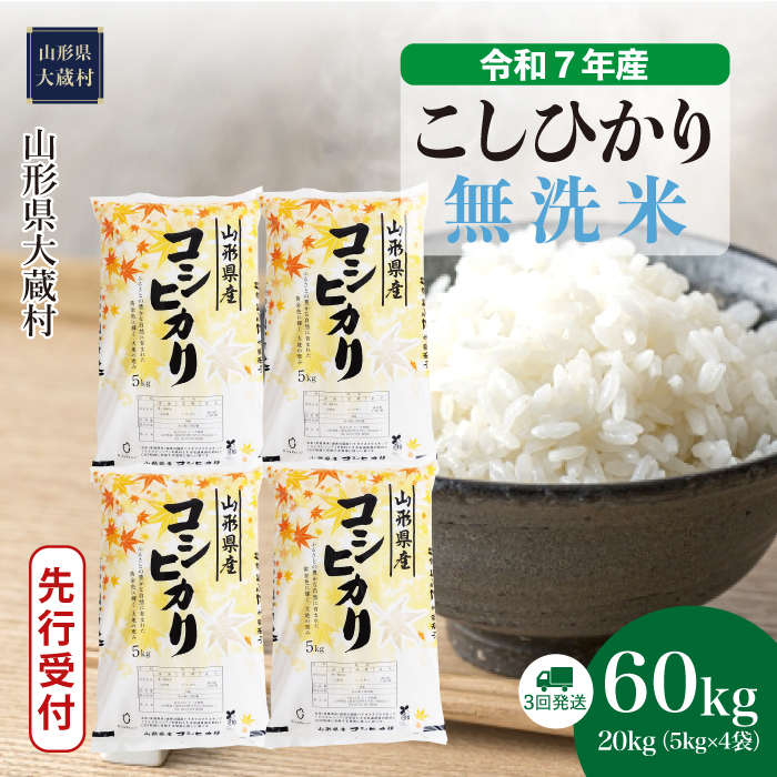 ＜令和7年産米先行受付＞ 大蔵村産 こしひかり 【無洗米】60kg定期便(20kg×3回)　配送時期指定できます！