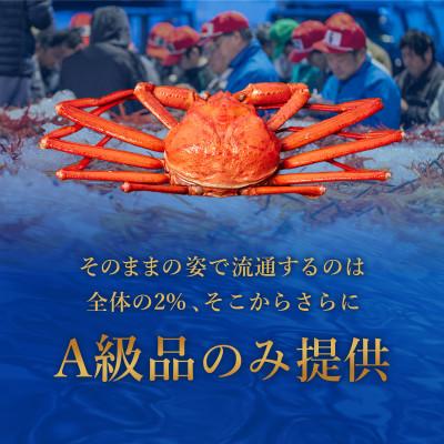 ふるさと納税 智頭町 【蟹セレブ】ズワイガニ(紅ズワイガニ)特大2杯(600〜700g) |  | 02