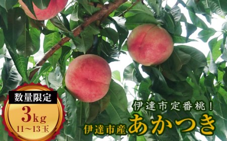 福島県産 あかつき 約3kg 数量限定 2025年7月下旬～2025年8月中旬発送 2025年出荷分 先行予約 予約 伊達の桃 桃 もも モモ 果物 くだもの フルーツ 名産品 国産 食品  F20C-159