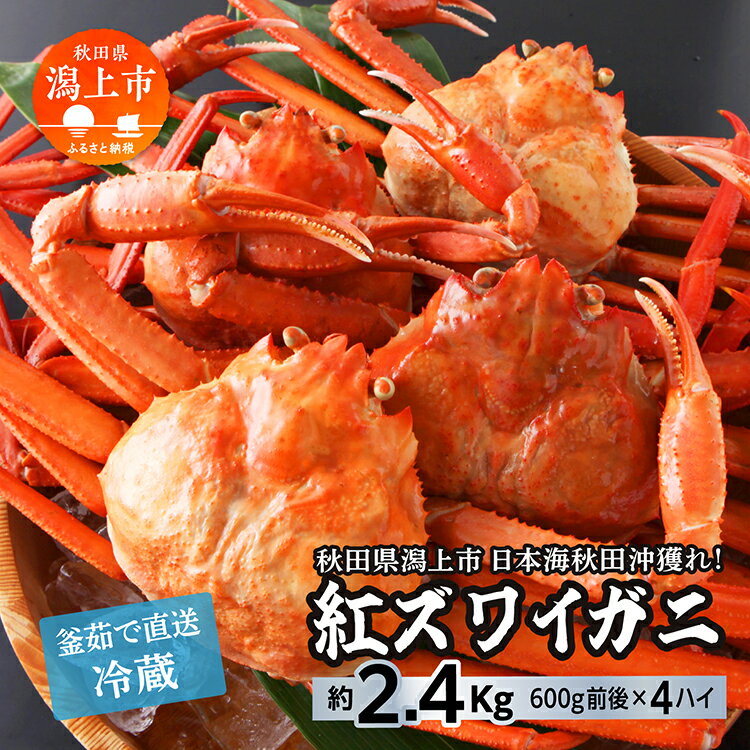 【ふるさと納税】年内配送 冷蔵 ズワイガニ 4匹 約 2.4kg 紅ズワイガニ ベニズワイガニ ずわい ズワイ蟹 ずわいがに ずわい蟹 姿 ボイル 訳あり 蟹 カニ かに 国産 蟹 不揃い 傷 緊急 カニみそ入り秋田 潟上市 ランキング 【安田水産】