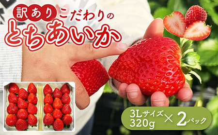 「訳あり」とちあいか3Lサイズ320g×2パック｜ 訳あり とちあいか いちご 苺 栃木県 果物 フルーツ ※北海道・沖縄・離島への配送不可 ※2026年1月中旬～3月中旬頃に順次発送予定