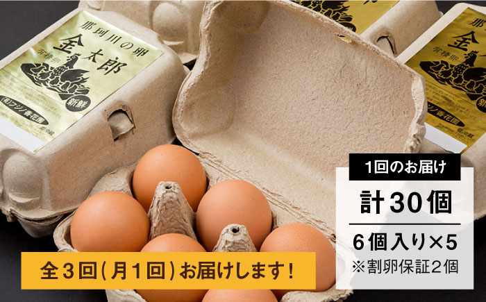 【全3回定期便】【TVで紹介！】鮮度ＡＡ級の世界最高ランク！金太郎卵 平飼い たまご 30個（6個×5パック）＜有限会社 フジノ香花園＞那珂川市 [GAM017]