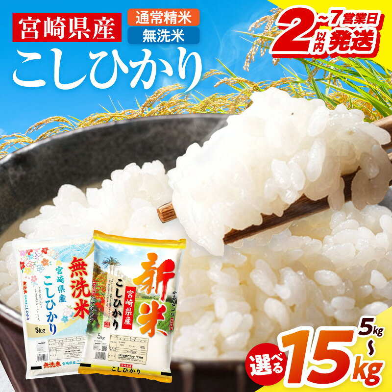 【ふるさと納税】2～7営業日以内発送！【内容量・通常精米or無洗米が選べる】《令和8年産》宮崎県産こしひかり 5kg 10kg 15kg 新米 8年産 お米 米 ごはん 精米 通常精米 無洗米 コシヒカリ 宮崎県産 国産 超早場米 単一原料米 単一米 ブランド米 銘柄米 白米 おすすめ 人気