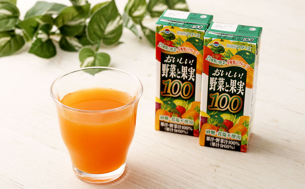 【3か月連続定期便】おいしい野菜と果実 200ml×12本×3回 合計36本 合計7.2L