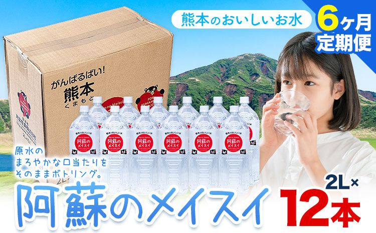 水 熊本 の おいしい お水 阿蘇のメイスイ 2L × 12本 2ケース 6ヶ月定期便 丸富産業《お申し込みの翌月から出荷開始》熊本県 産山村 水 天然水 みず 熊本 飲料 熊本県 ミネラルウォーター ---ubuyama_mrt_29_mo6---