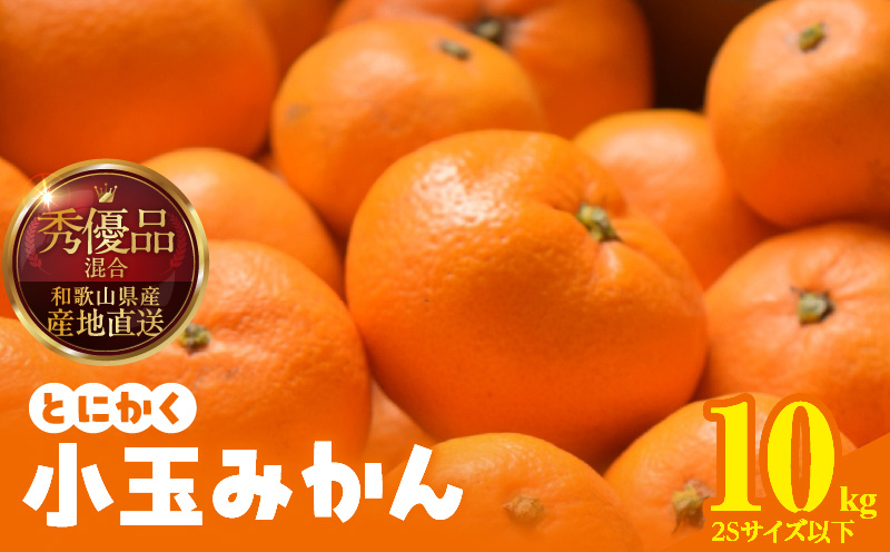 MK1041_【2025年先行予約】みかん とにかく 小玉 箱込 10kg ( 内容量 9.2kg ) 2Sサイズ以下 秀品 優品 混合 有田みかん 和歌山県産 産地直送 【みかんの会】