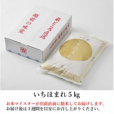 ふるさと納税 あわら市 【令和6年産】いちほまれ 精米 5kg×1袋《お米マイスターが発送直前に精米!》 |  | 03