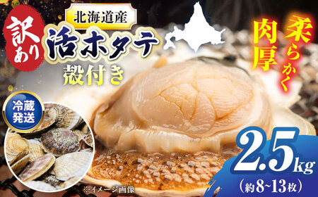 ＜期間限定受付＞ 訳あり 天然貝殻付き活ホタテ2.5kg　ほたて 北海道 [AXAL007]