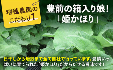 焙煎ごぼう茶ティーバッグ40包 《豊前市》【瑞穂農園】 飲料 お茶 [VBG005]