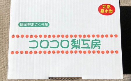 【先行予約】 梨 新高梨 甘熟 味に自信あり！！約2.5kg  3～5玉入 梨