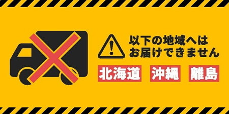 大粒ブルーベリー品種ミックス 500g×2パック 果物 フルーツ 国産 愛知県産 ※2026年6月上旬～8月上旬頃に順次発送予定 ※北海道・沖縄・離島への配送不可