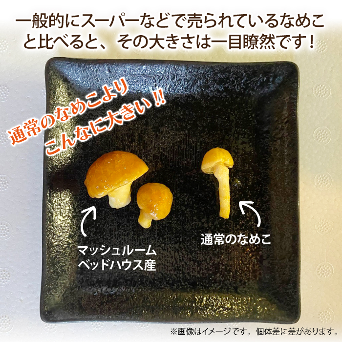 岩手県産 特大 なめこ 180g 5袋 & 乾燥きくらげ 20g 6袋 【マッシュルームベッドハウス】／ 国産 雫石町産 きのこ 茸 キノコ 滑子 ナメコ 乾燥 乾物 きくらげ キクラゲ 木耳 乾物 