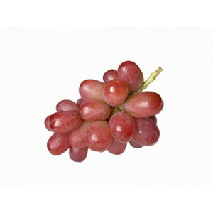 ＜2025年9月より順次発送予定＞我が道　桐箱入り1房(県内共通返礼品:かすみがうら市産) (BR099)