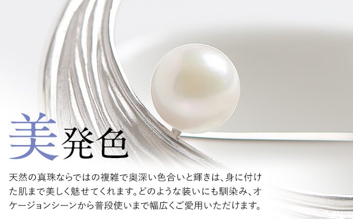 あこや真珠 8.0～8.5mm ブローチ シルバー SV 三日月 パール 真珠 あこや レディース アクセサリー ジュエリー