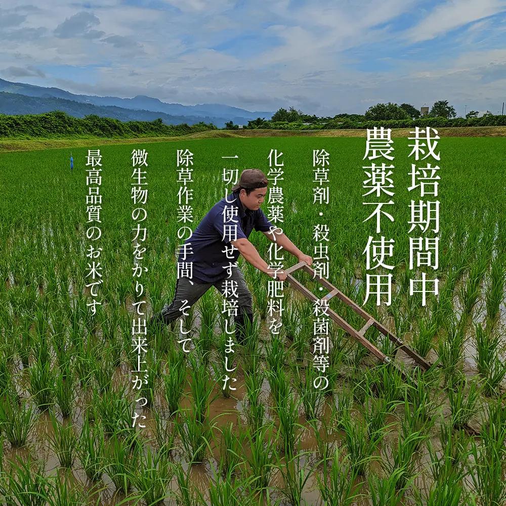 【定期便令和8年新米予約】南魚沼食味コンクール4年連続優秀賞　栽培期間中農薬不使用特別栽培米5kg×3回　南魚沼塩沢産コシヒカリ【2026年10月中旬から1ヶ月以内に順次発送予定】｜コシヒカリ
