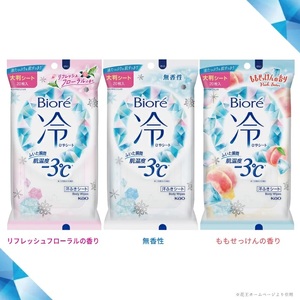 SA1800　花王 ビオレ 冷シート 3種詰め合わせ　計6袋