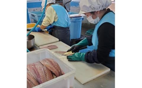 四万十 産 マヒマヒ の マヨ グラタン 風 5缶 セット ［1597］