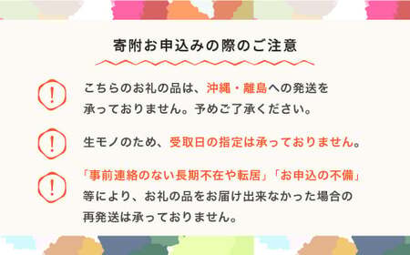 フルーツ定期便 全3回 令和8年産 sb-fthsl3