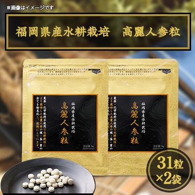 ふるさと納税 粕屋町 福岡県産水耕栽培　高麗人参粒　31粒入×2袋セット