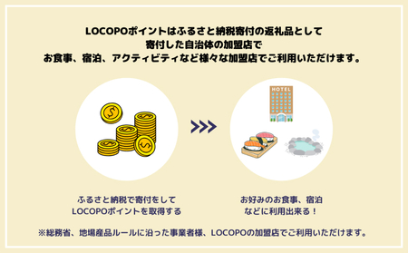 LOCOPOデジタル返礼ポイント【3,000ポイント】_B167-001