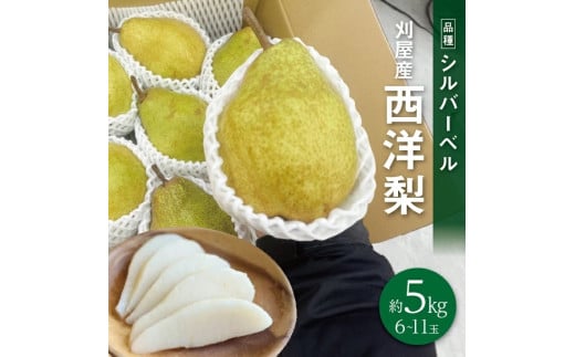 SB0661　酒田の果物専門店厳選　シルバーベル(洋梨)　約5kg(6～11玉入)