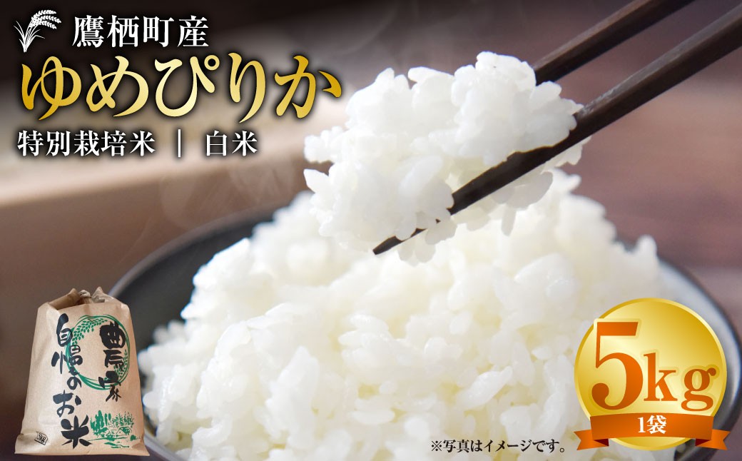
                  【令和7年産】 ゆめぴりか （ 白米 ） 5kg 北海道 鷹栖町 たかすタロファーム 米 コメ こめ ご飯 お米　5キロ　5K
                
