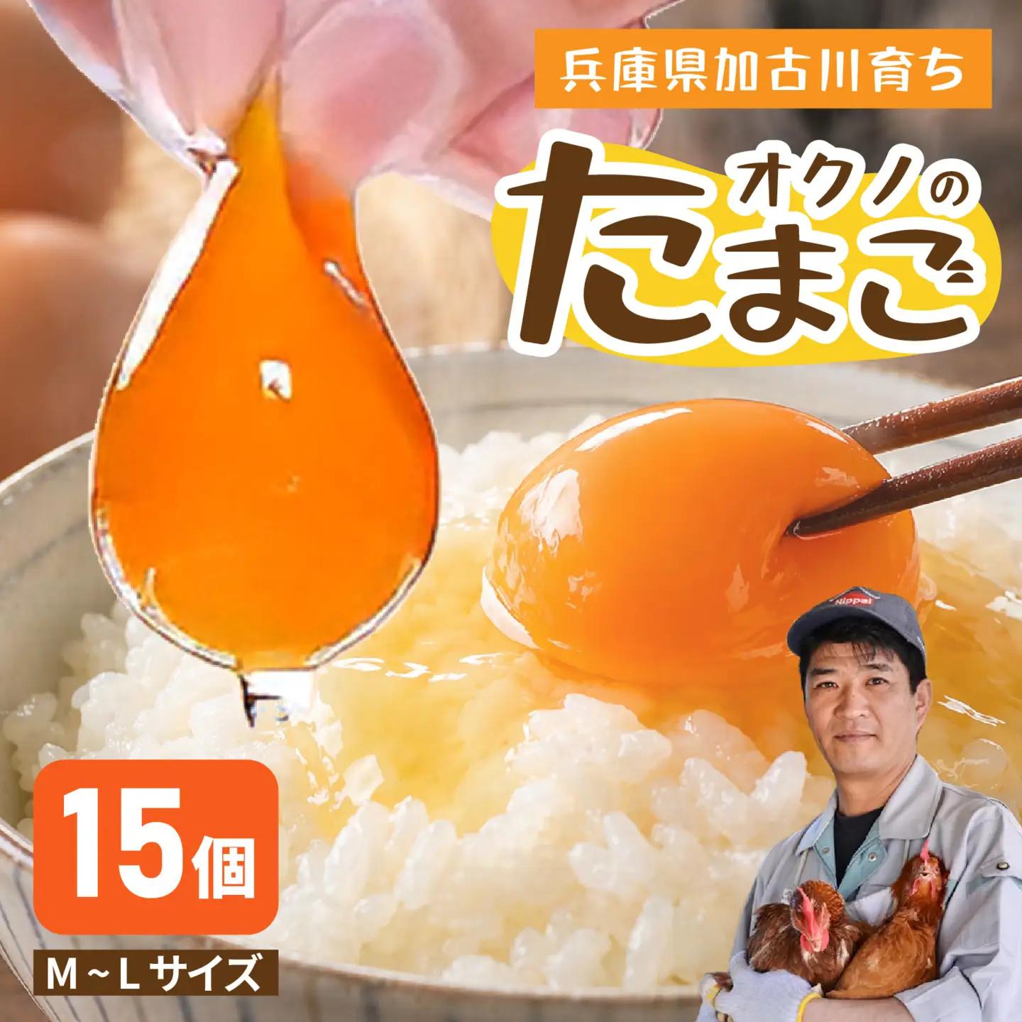 こだわり卵 オクノのたまご 15個 / 卵
