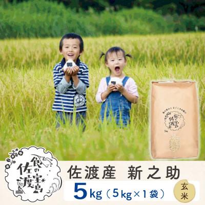 ふるさと納税 佐渡市 【新米予約】佐渡島産新之助 玄米5Kg 令和7年