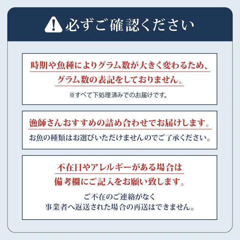 【 鮮魚 】 鮮魚 セット 3種～5種